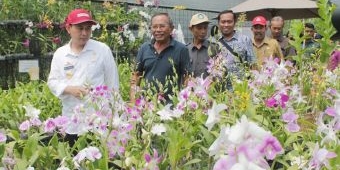 Songsong Pembanguan LWS, Bupati Nganjuk Tinjau Kawasan Agrowisata