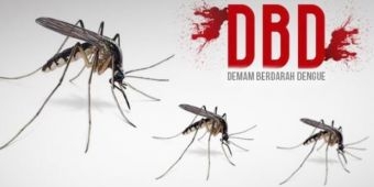 Kasus DBD di Bojonegoro Tinggi, Dinkes Imbau Warga Lakukan 3M Plus