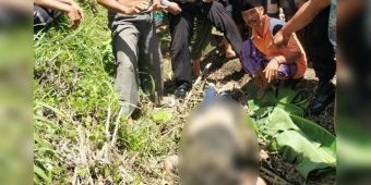 Diduga Bunuh Diri, Wanita Ini Lompat dari Kereta Api Sri Tanjung