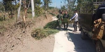 Babinsa Bersama Warga Desa Sumurup Bersihkan Rumput di Area Jalan Setapak Hasil TMMD
