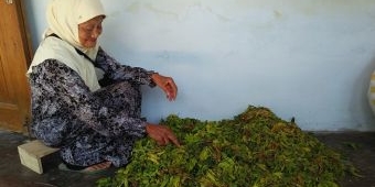 Nenek 90 Tahun Berangkat Haji dari Jualan Bunga Kenanga
