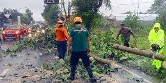 163 Bencana Terjadi di Kabupaten Blitar Selama 2022, Didominasi Angin Kencang