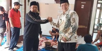 Penuhi Nazar Kemenangan, DPC PDI-P Tuban Jagal 2 Ekor Sapi