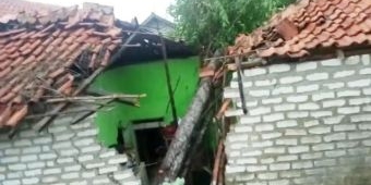 Puting Beliung di Sampang, Sejumlah Rumah Warga Hancur Tertimpa Pohon