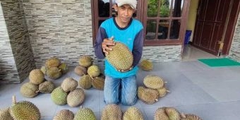 Durian 'Sarti' Peringkat 2 dalam Identifikasi Durian Lokal Kebonrejo Kediri