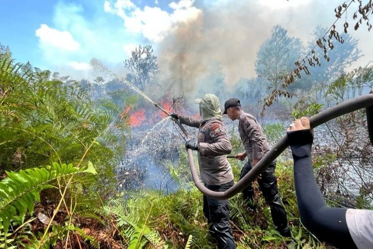 Fenomena El Nino Dapat Berpotensi Kebakaran Hutan Bangsaonline