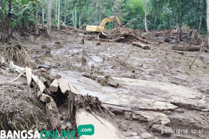 Tanggul Peternakan Sapi Greenfields Jebol, 6 Sapi Warga Hilang Terseret Aliran Lumpur Berbau Limbah