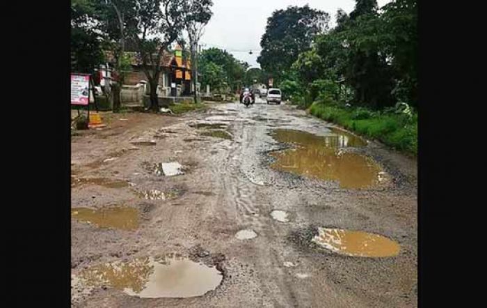 Jalan Rusak di Desa Sidoharjo Ponorogo Jadi Olok-olok Netizen