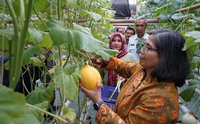 Pj Wali Kota Kediri Serahkan Sertifikat Prima 3 dan Izin Edar PSAT-PDUK