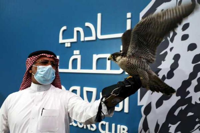 Arab Saudi Gelar Lelang Burung Elang Selama 45 Hari