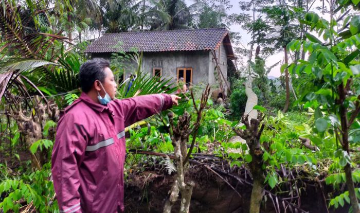 Dalam Sehari, 6 Rumah Warga di Kecamatan Doko Blitar Tertimpa Pohon Tumbang