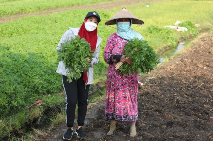 Dipuji Istri Bupati, Petani Sayur Ini Dianggap Sosok Tangguh Ketahanan Pangan di Sidoarjo