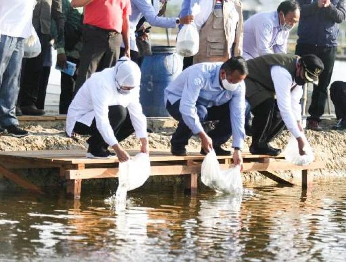 ​Potensi Ikan Kerapu di Lamongan Besar, Gubernur Khofifah Minta Produktivitas Dimasifkan