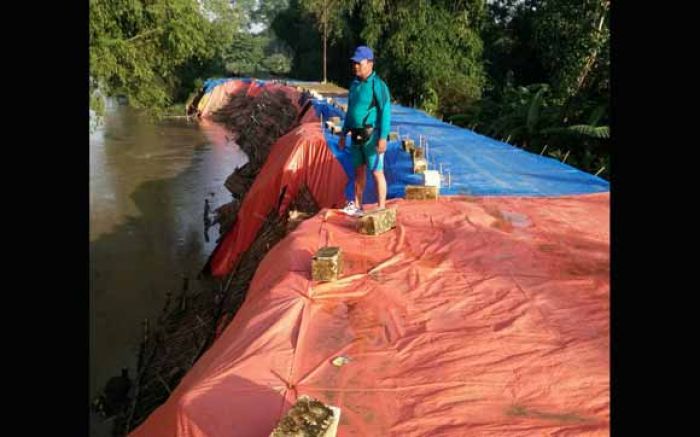 Lagi, Tanggul Sungai Bengawan Solo di Kanor Longsor, Warga Cemas