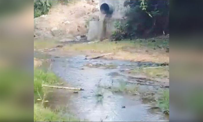 Viral di Medsos, Limbah Diduga Milik Pabrik Gula RMI Cemari Sungai