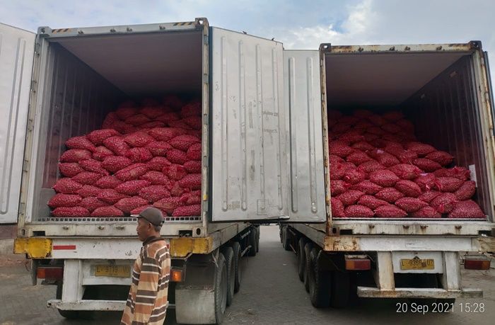 Bawang Merah Probolinggo Tembus Mancanegara, PT Cipta Makmur Sentausa Ekspor 55,2 Ton ke Thailand