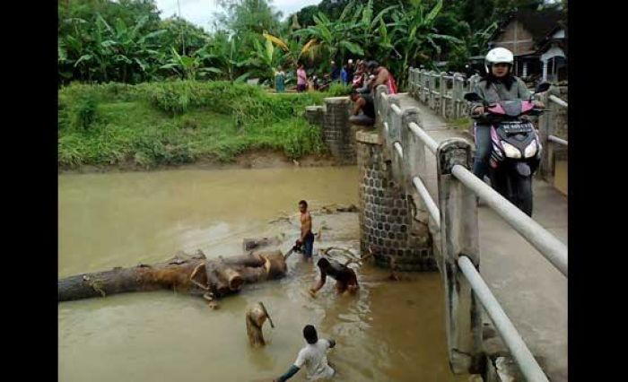 Takut Jembatan Ambrol dan Banjir, Warga Desa Sumber Ringin Bersihkan Dam Cangkring