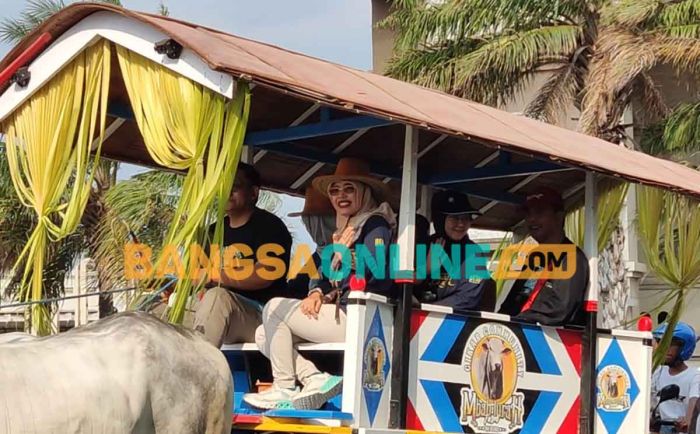 Semarak Parade Cikar di Kabupaten Kediri