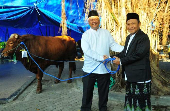 Petrokimia Gresik Serahkan 21 Ekor Sapi Kurban untuk Berbagi