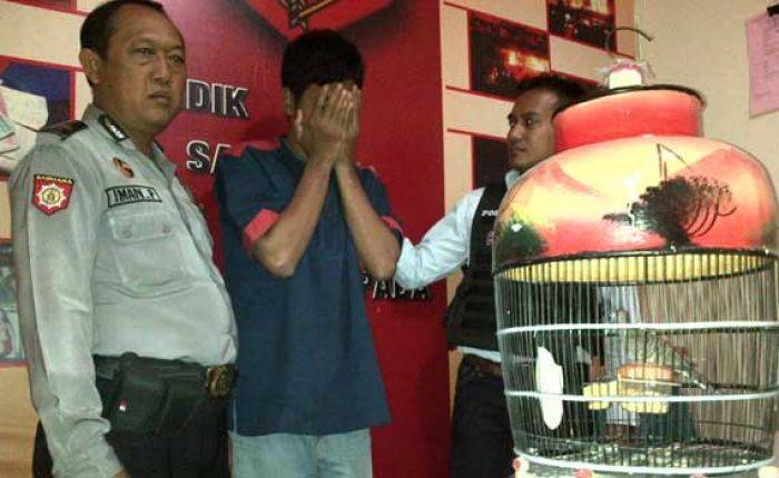 Demi Biayai Sekolah Adik, Dua Pria di Surabaya ini Nekat Curi Burung