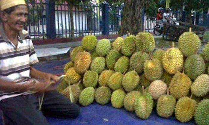 Satpol PP Kediri Obrak Penjual Durian di Zona Larangan PKL