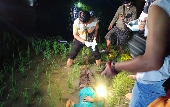Lagi, Nyawa Seorang Pria di Ngawi Melayang Akibat Tersengat Listrik Jebakan Tikus