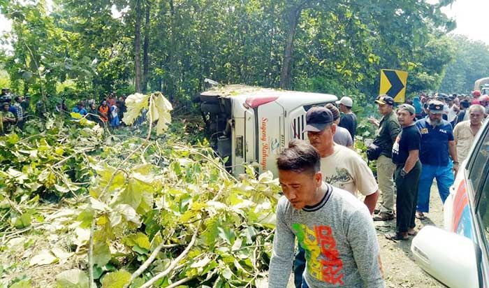 Sopir Ugal-ugalan, Bus Sugeng Rahayu di Ngawi Terbalik, Belasan Penumpang Luka-luka 