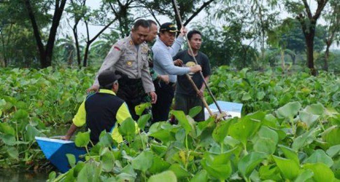 Pemkab Lamongan Canangkan Perang terhadap Enceng Gondok Untuk Cegah Banjir