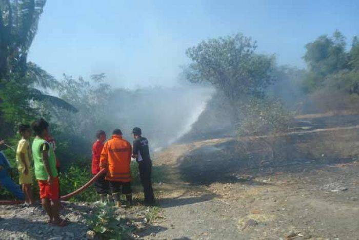 Kebakaran Enam Hektar Lahan kosong di Situbondo Nyaris Hanguskan Dua Perumahan