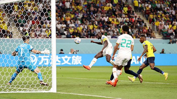 Hasil Piala Dunia 2022: Terkam Ekuador, Singa dari Teranga Susul Die Oranje ke 16 Besar