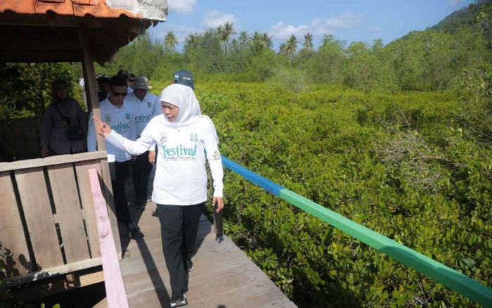 Gubernur Khofifah Gelar Festival Mangrove ke-4 di Pancer Cengkrong Trenggalek