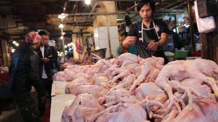 Tahun Baru, Harga Daging Ayam  di Lamongan Capai Rp 34 Ribu per Kilogram