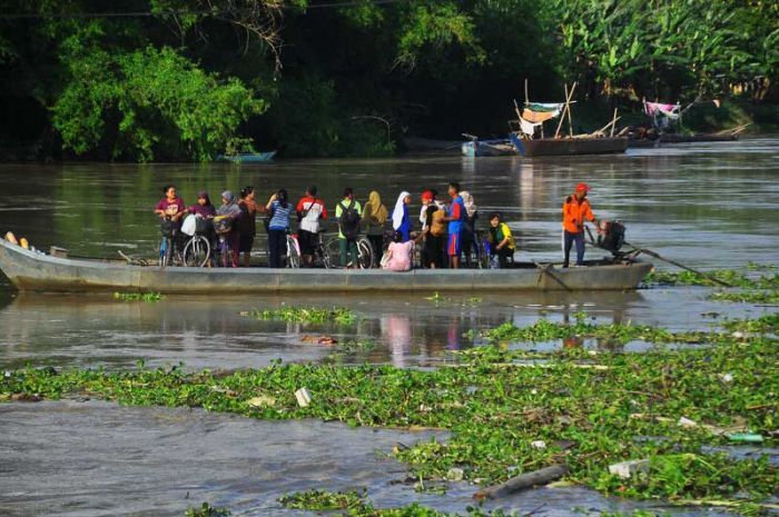 Sungai Bengawan Solo Terus Naik, Bojonegoro Waspada Banjir