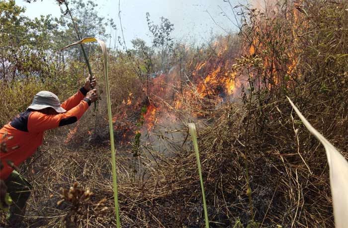 Hutan Utara dan Selatan Mojokerto Terbakar, Diduga Akibat Puntung Rokok