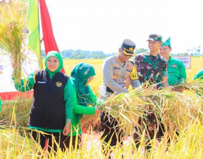 Merespons Penambahan Pupuk Bersubsidi, Khofifah Sebut Kabar Gembira Bagi Petani Jatim 