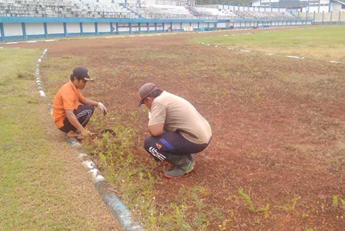 Stadion Pacitan Mulai Ditumbuhi Rumput Liar dan Belukar