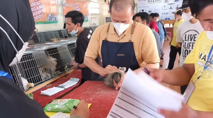 Meriahnya Malang Rabbit Show 2022, Kelinci Milik Wali Kota Batu Sabet Tiga Juara