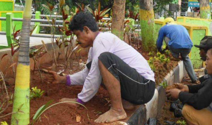 Puluhan Bunga Mahal di Taman Kota Lamongan Dicuri Maling