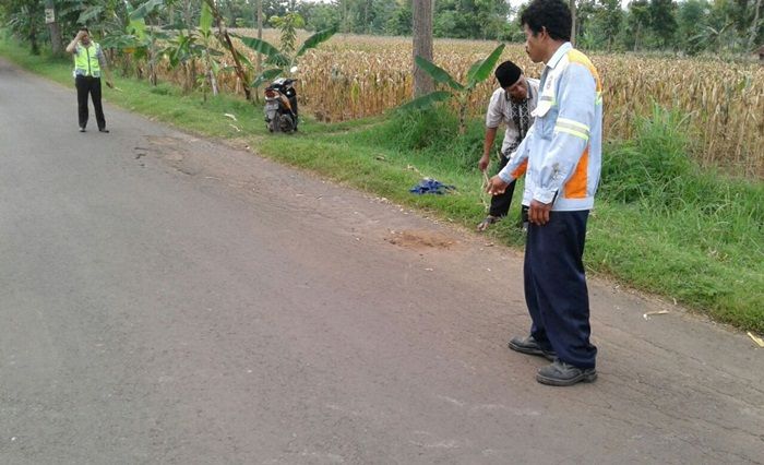 ​Dihantam Motor, Pesepeda Angin di Tambakboyo Tuban Meninggal di TKP
