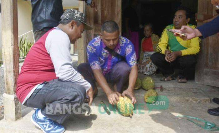 ​Kenalkan Wisata, Pemkab Kediri akan Gelar Festival Durian Medowo