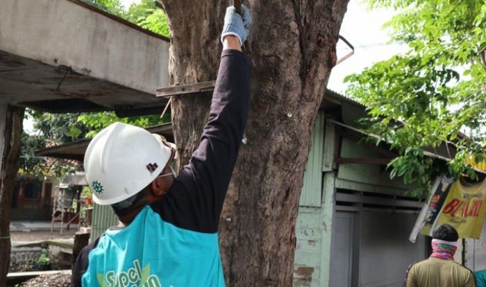 ​Komunitas Sukodono Peduli Lingkungan (Supel) Awali Tahun 2020 Dengan Aksi Cabut Paku di Pohon