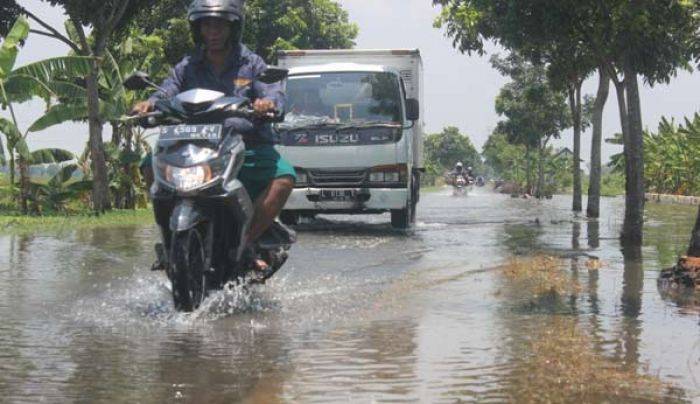 Jalan Poros Kecamatan Plumpang Tuban Tergenang Air, Pemkab Diminta Beri Solusi