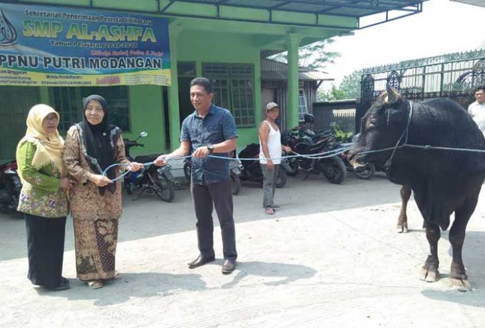Laksanakan Kurban, Wabup Marhaenis Sumbang Sapi di Ponpes Nasyrul Ulum
