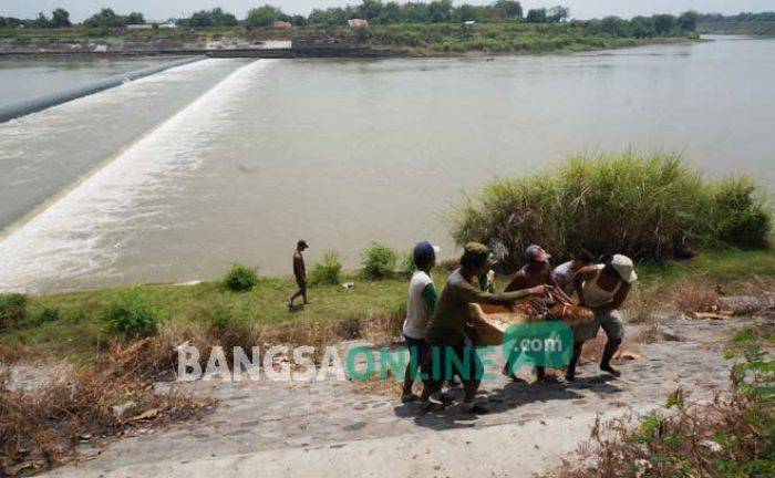 Pemancing di Dam Karet Jombang Dikejutkan Mayat Mengapung