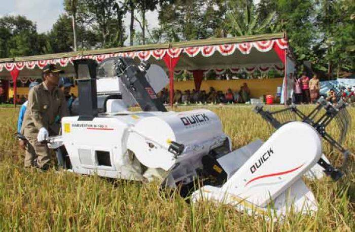 Panen Raya Sawah Tadah Hujan di Desa Pulerejo Tulungagung, Bupati Bantu Dua Pompa