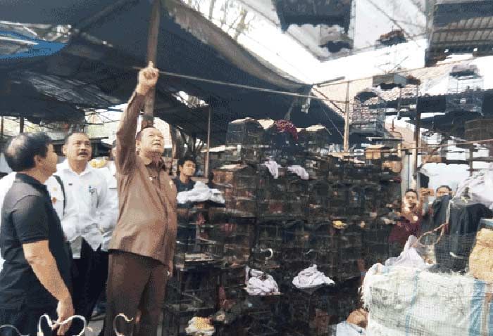 Tanggapi Keluhan Pedagang, Disperindag akan Renovasi Pasar Burung Empunala