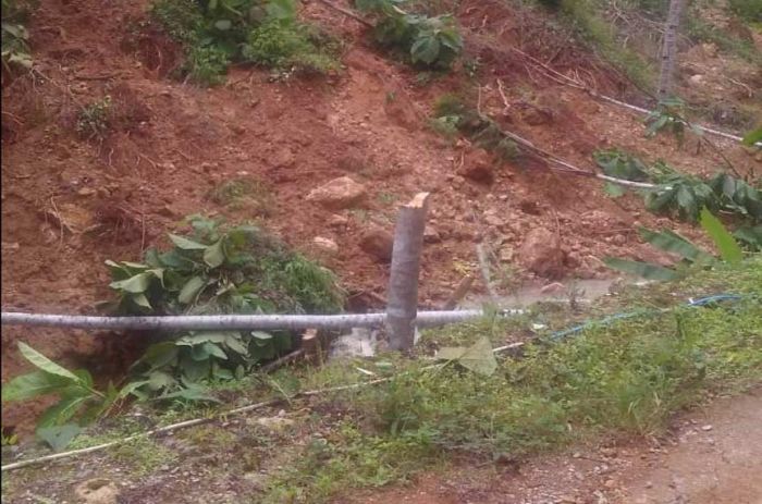 Banjir dan Longsor di Pacitan Bukan karena Minimnya Vegetasi Hutan