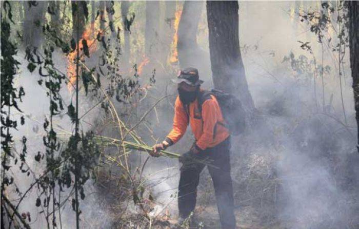 Kebakaran Semak Belukar Semeru, Puluhan Pendaki Dievakuasi Lewat Jalur Ayak-ayak