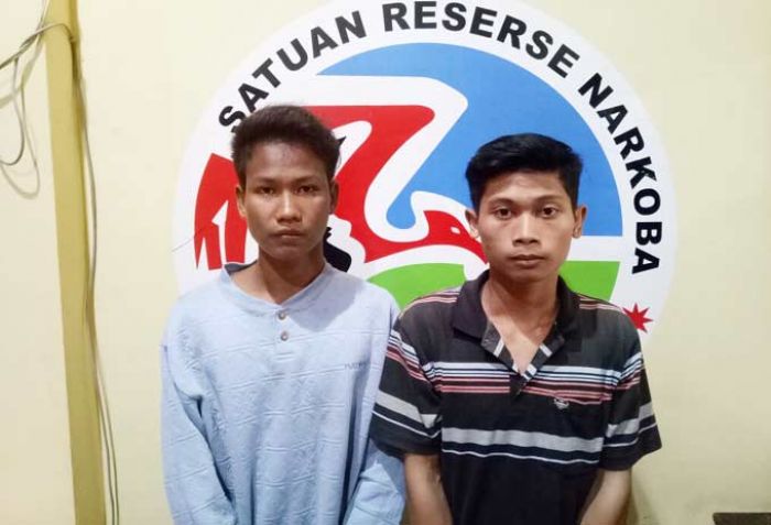 Edarkan Pil Koplo, Tiga Remaja Asal Peterongan Ditangkap