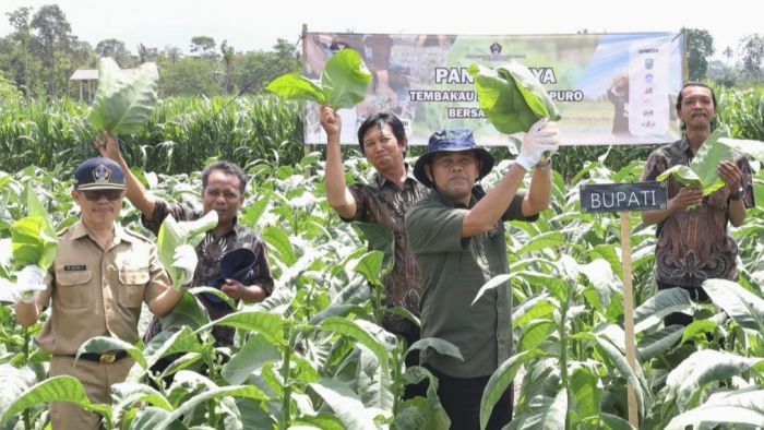 ​Ratusan Kelompok Tani Tembakau di Blitar Dapat Bantuan Alat Senilai Rp2 Miliar dari DBHCHT